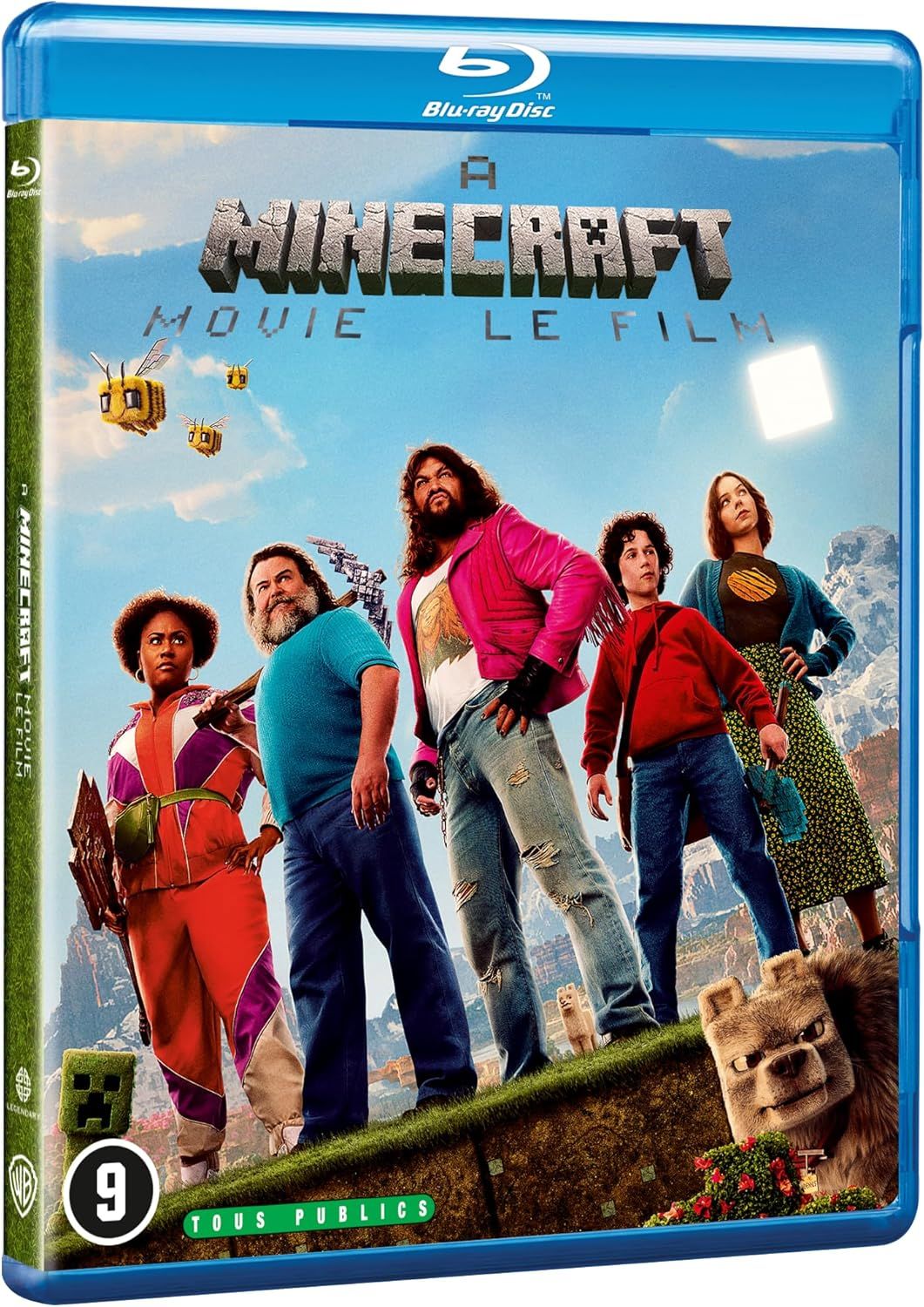 Vue principale : Film Minecraft en Blu-ray