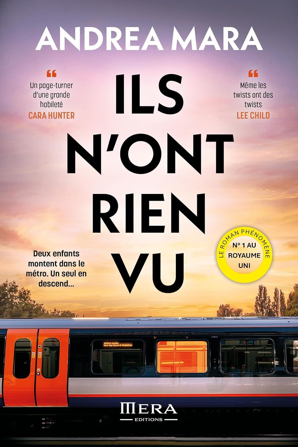 Vue principale : Couverture du thriller Ils n'ont rien vu