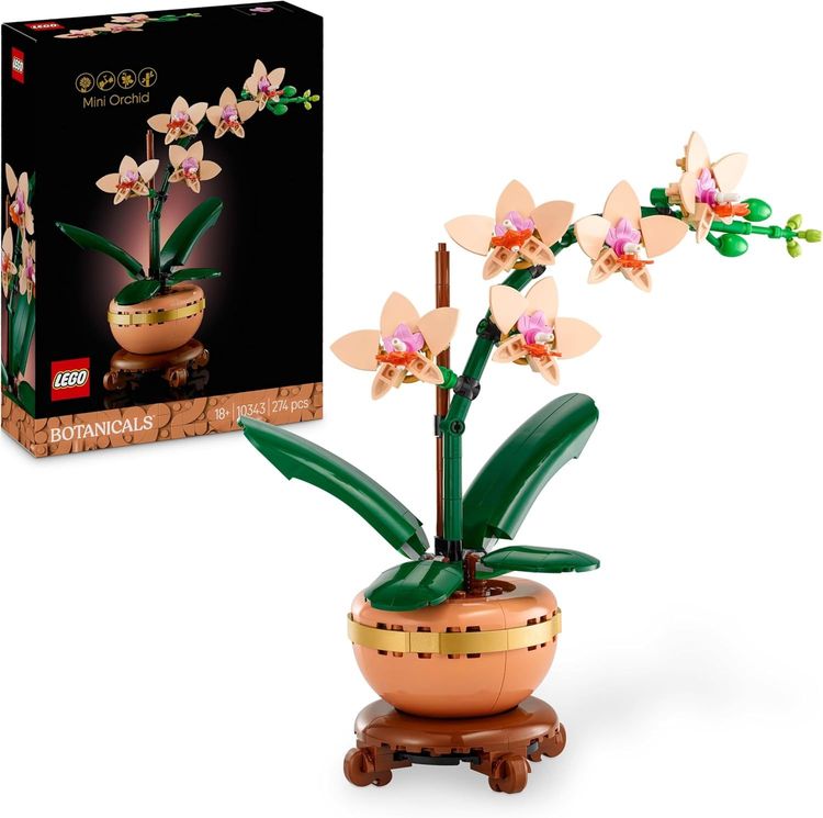 Vue principale : Orchidée miniature LEGO Botanicals en terre cuite