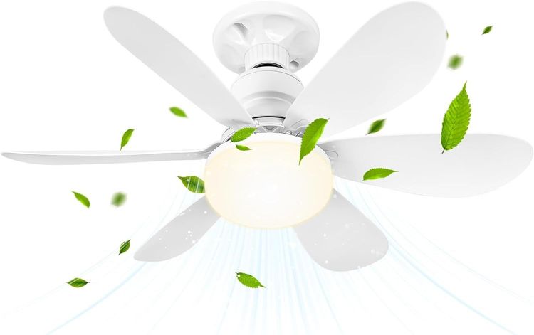 Vue principale : Ventilateur plafond LED BuzzoXerex 52 cm avec télécommande et éclairage réglable