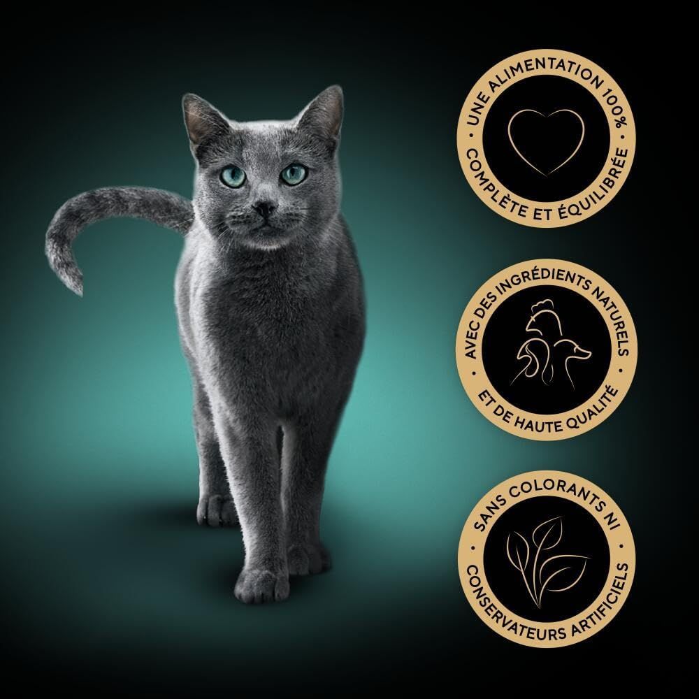 Détail et caractéristiques : SHEBA Mini Fillets – Fresh Sauce, Sélection Volaille pour Chats Adultes